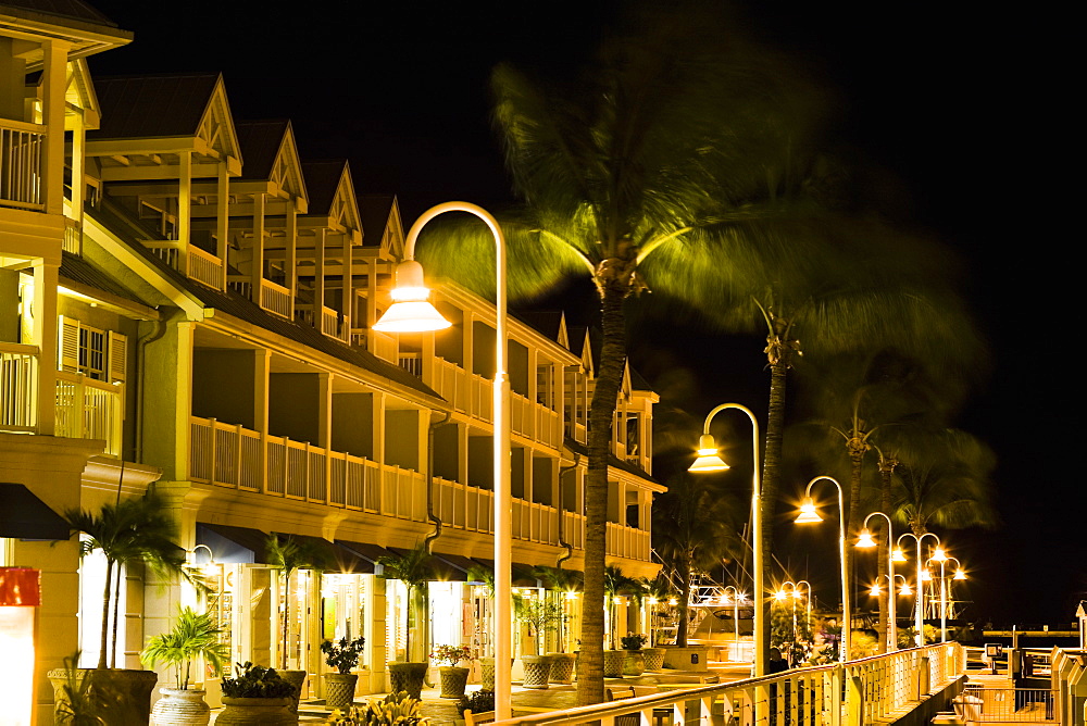 Street lights and palm trees in front of house, Key West, Florida, USA