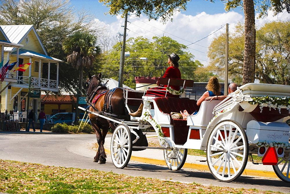 Horse drawn on the road, St. Augustine, Florida, USA