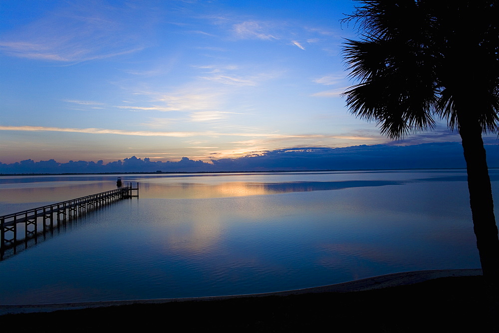 Silhouette of a palm tree at the coast, St. Augustine Beach, Florida, USA