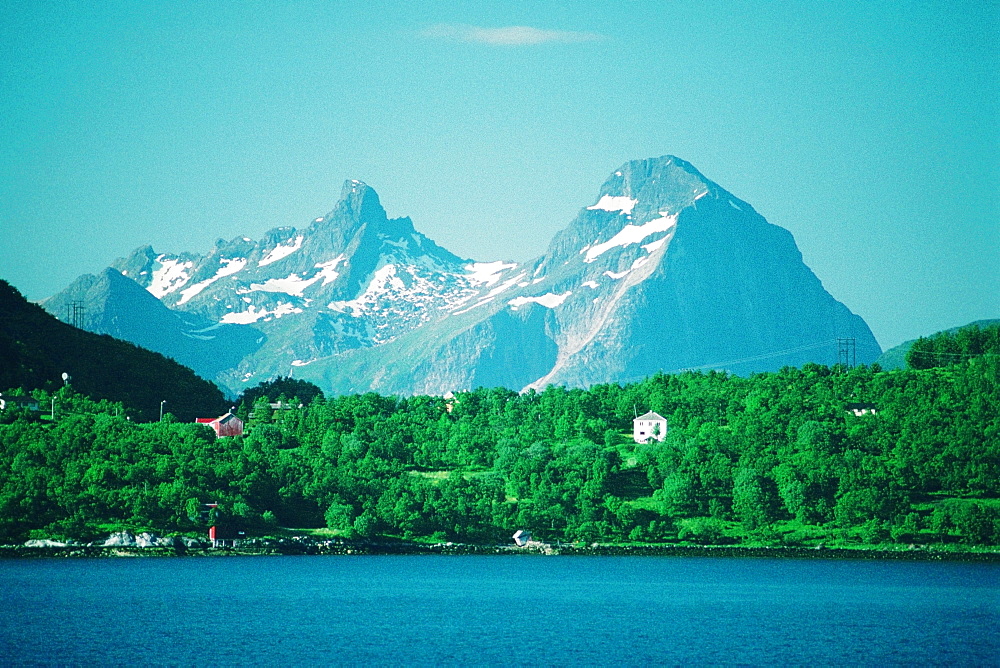 Forest at the waterfront, Norway