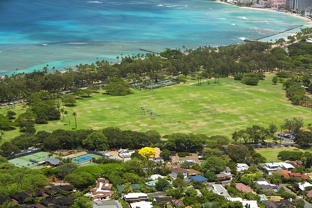 High angle view of trees along a coast, Diamond Head, Waikiki Beach, Honolulu, Oahu, Hawaii Islands, USA