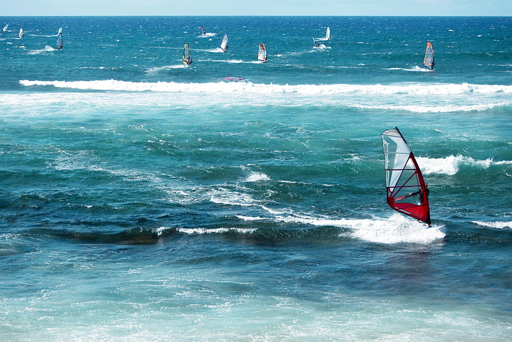 Windsurfing boards in the sea, Hookipa Beach, Maui, Hawaii Islands, USA