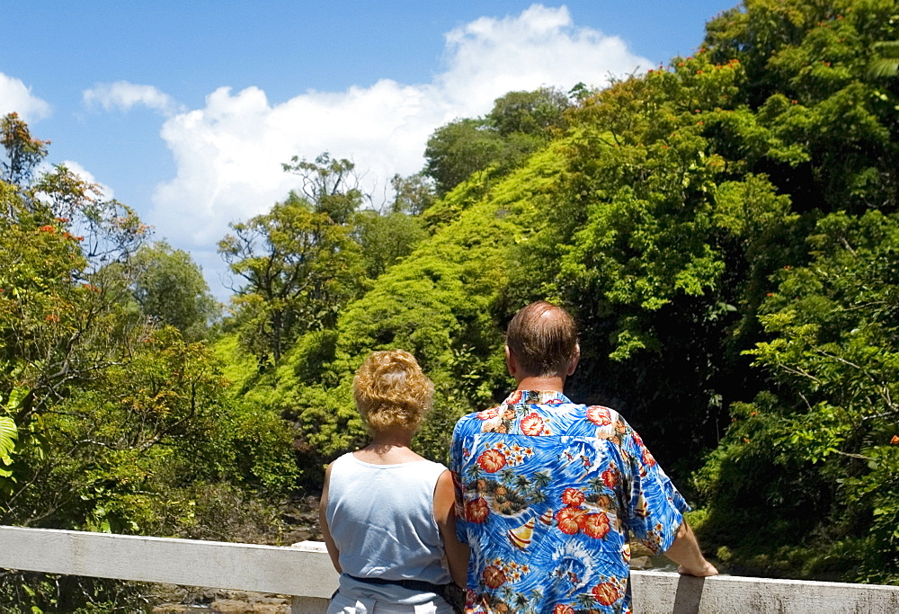 Rear view of a man and a woman looking at a view, Onemea Bay, Big Island, Hawaii Islands, USA