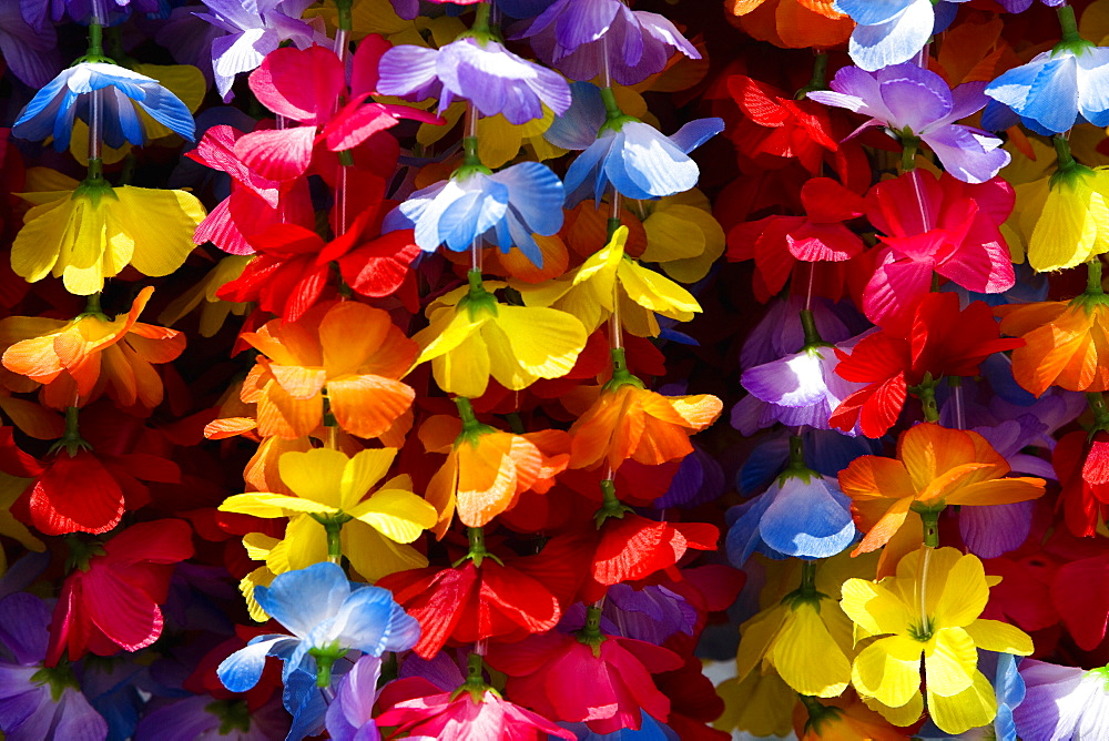 Close-up of garlands, Kona, Big Island, Hawaii Islands, USA