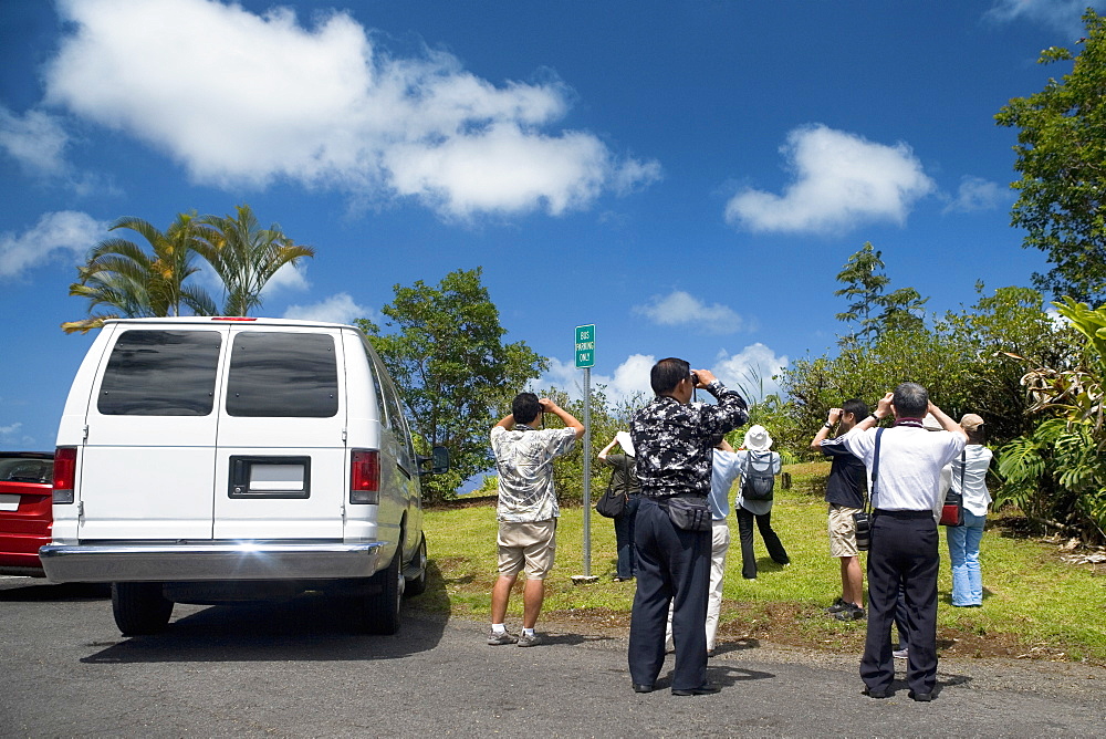 Rear view of tourists taking pictures in a forest, Akaka Falls State Park, Hilo, Big Island, Hawaii Islands, USA