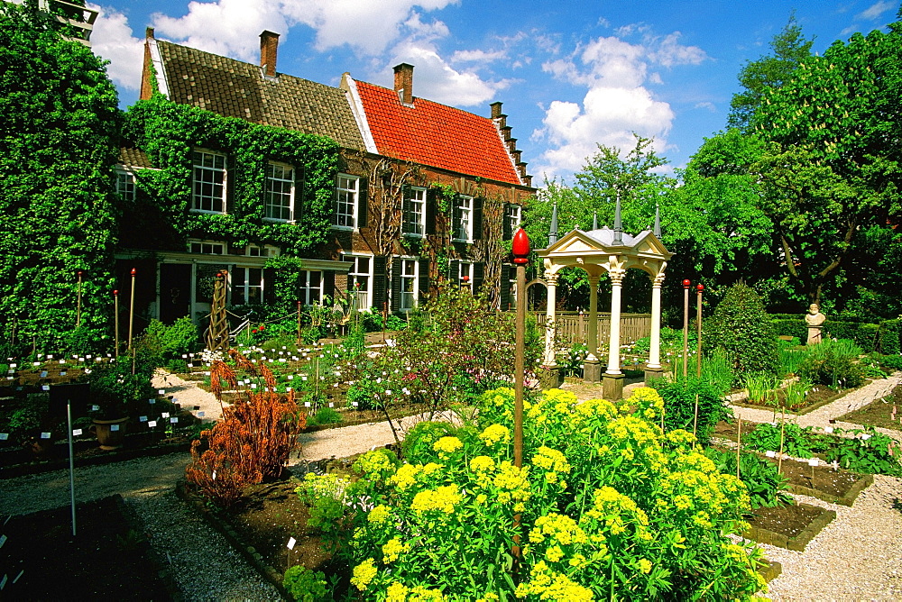 Garden in front of a building, Botanical Garden, Leiden University, Leiden, Netherlands