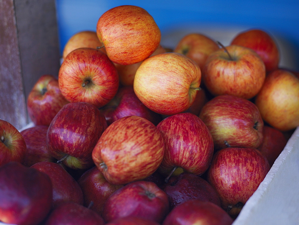 Close-up of a heap of apples in a fruit carton, Providencia, Providencia y Santa Catalina, San Andres y Providencia Department, Colombia