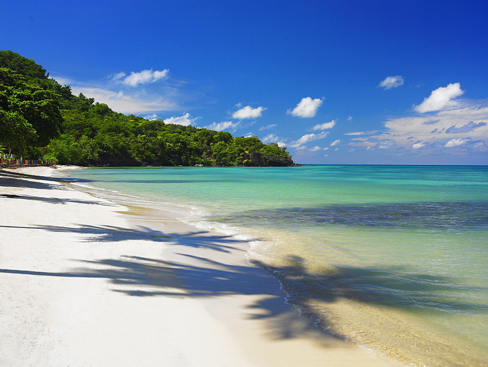 Shadow of trees on the beach, Providencia, Providencia y Santa Catalina, San Andres y Providencia Department, Colombia