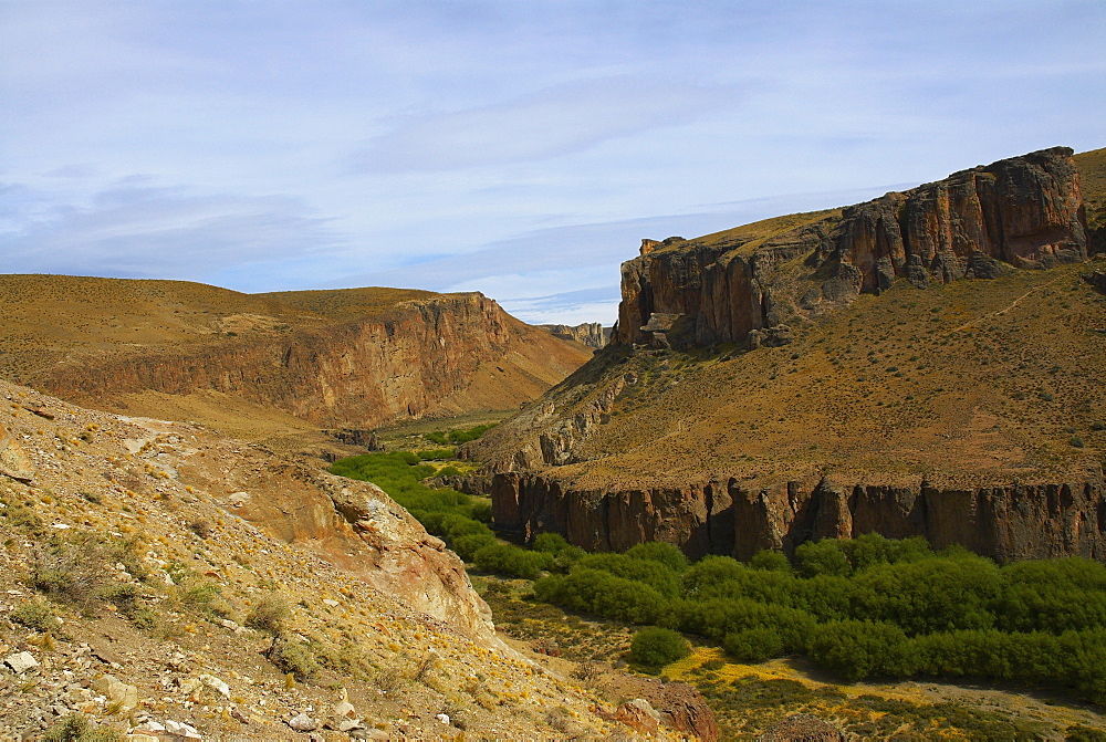 Trees surrounded by mountains, Pinturas River, Patagonia, Argentina