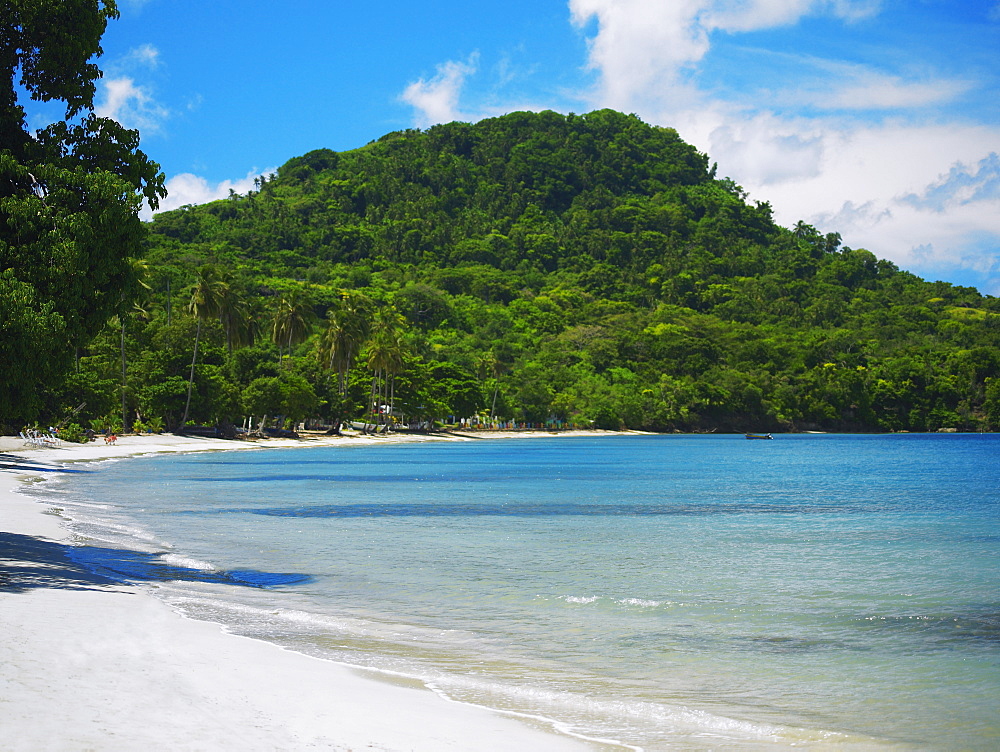 Trees on the beach, South West Bay, Providencia, Providencia y Santa Catalina, San Andres y Providencia Department, Colombia