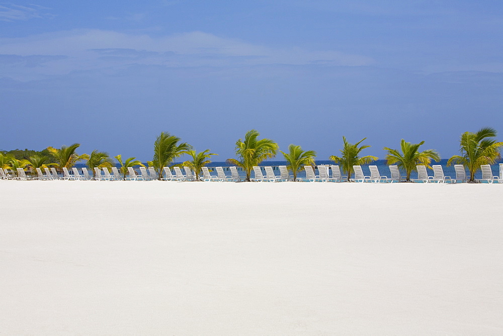 Lounge chairs and palm trees on the beach, Coral Cay, Dixon Cove, Roatan, Bay Islands, Honduras