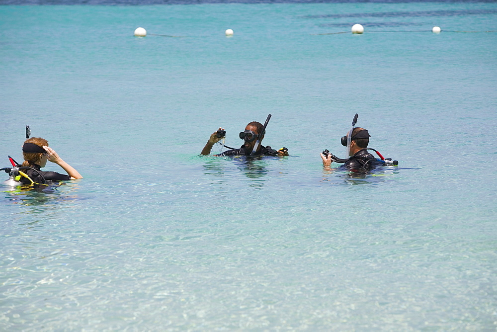 Three people snorkeling in the sea, Roatan, Bay Islands, Honduras