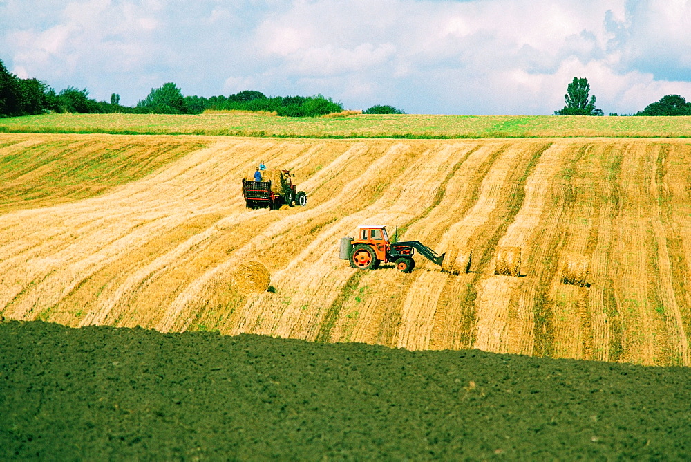 High angle view of tractors in a wheat field, Funen County, Denmark