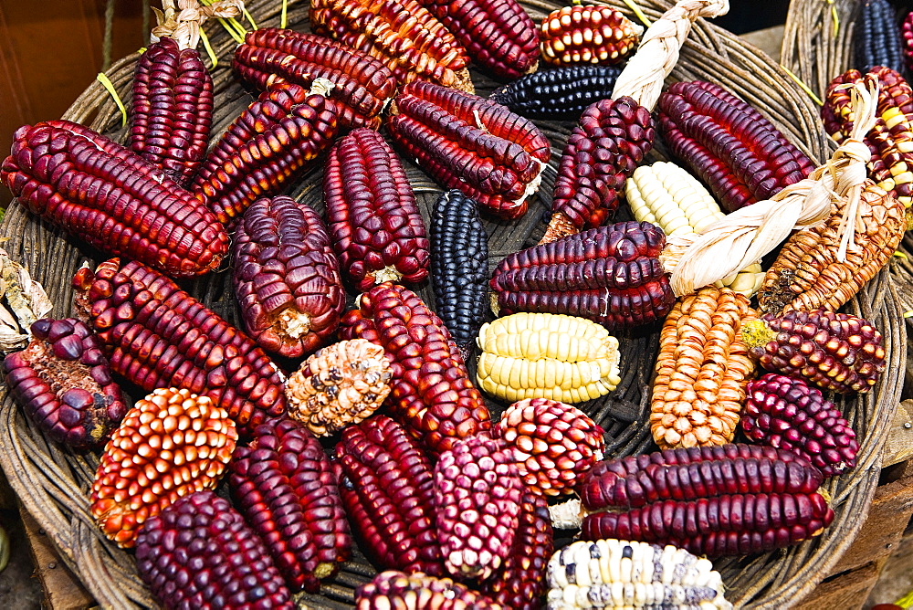 High angle view of a basket of colored corns in a market stall, Pisaq, Cuzco, Peru