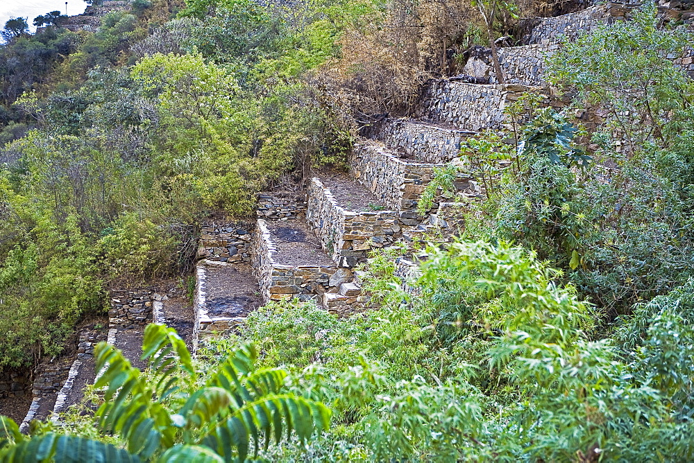 Steps of an old ruin, Choquequirao, Inca, Cusco Region, Peru