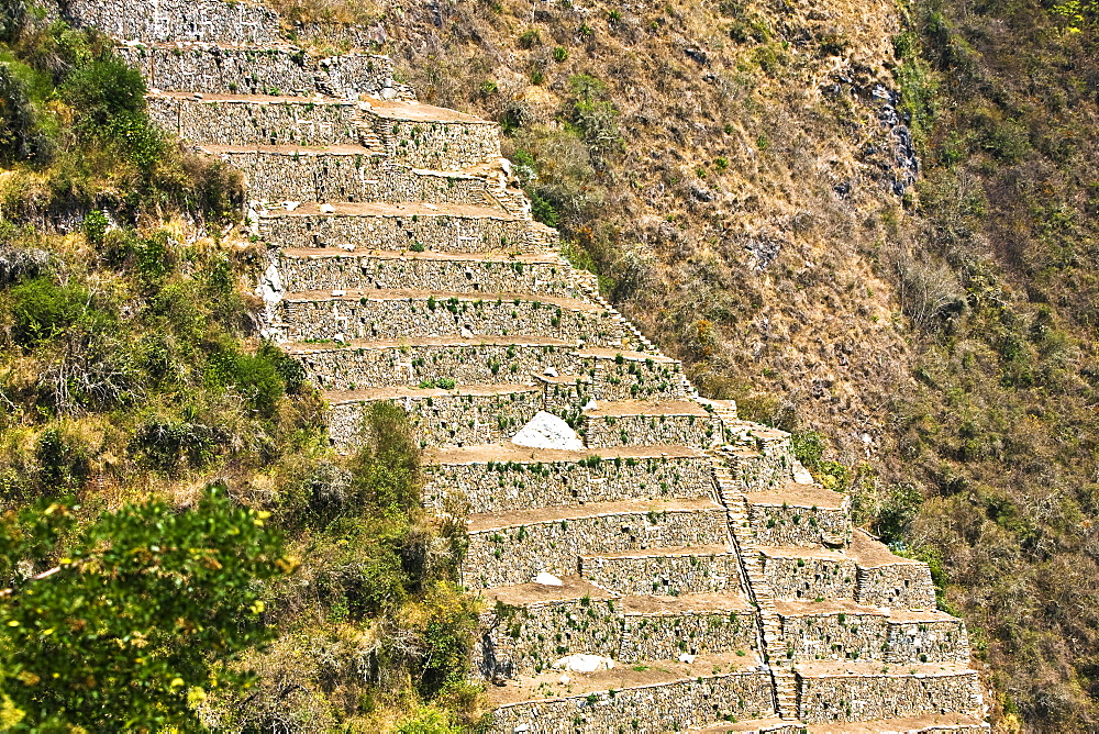 Old ruins of steps in a forest, Choquequirao, Inca, Cusco Region, Peru