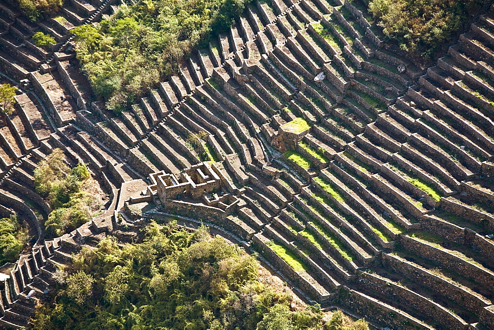 High angle view of the old ruins, Choquequirao, Peru