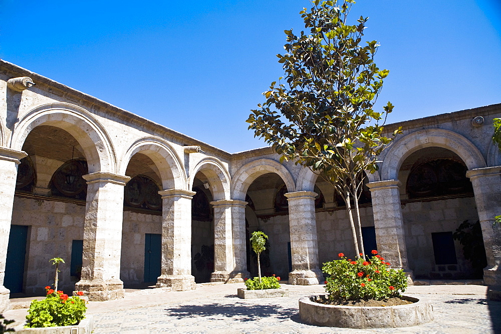 Low angle view of a tree in the courtyard of a building, Santa Catalina Convent, Arequipa, Peru