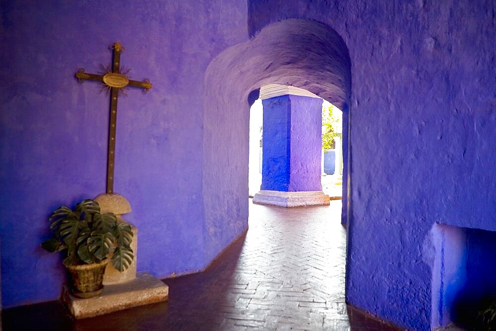 Potted plant in the corridor of a building, Santa Catalina Convent, Arequipa, Peru