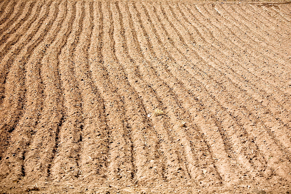 High angle view of a plowed field, Puno, Peru