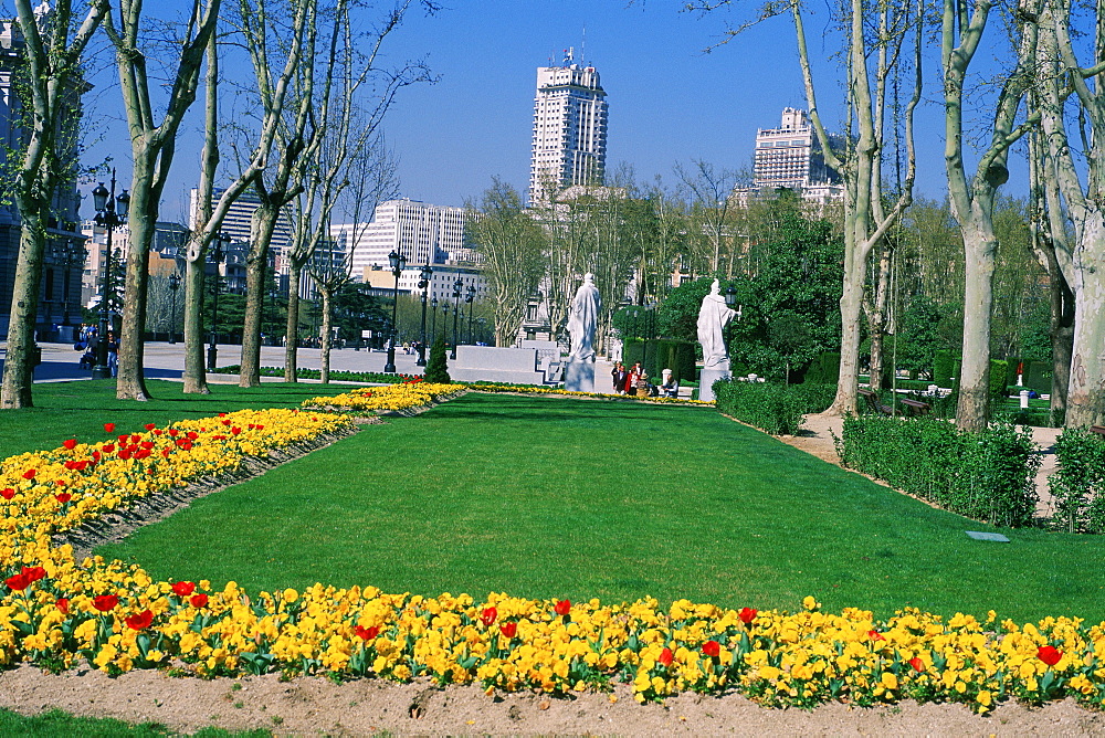 Trees in a garden, Spain