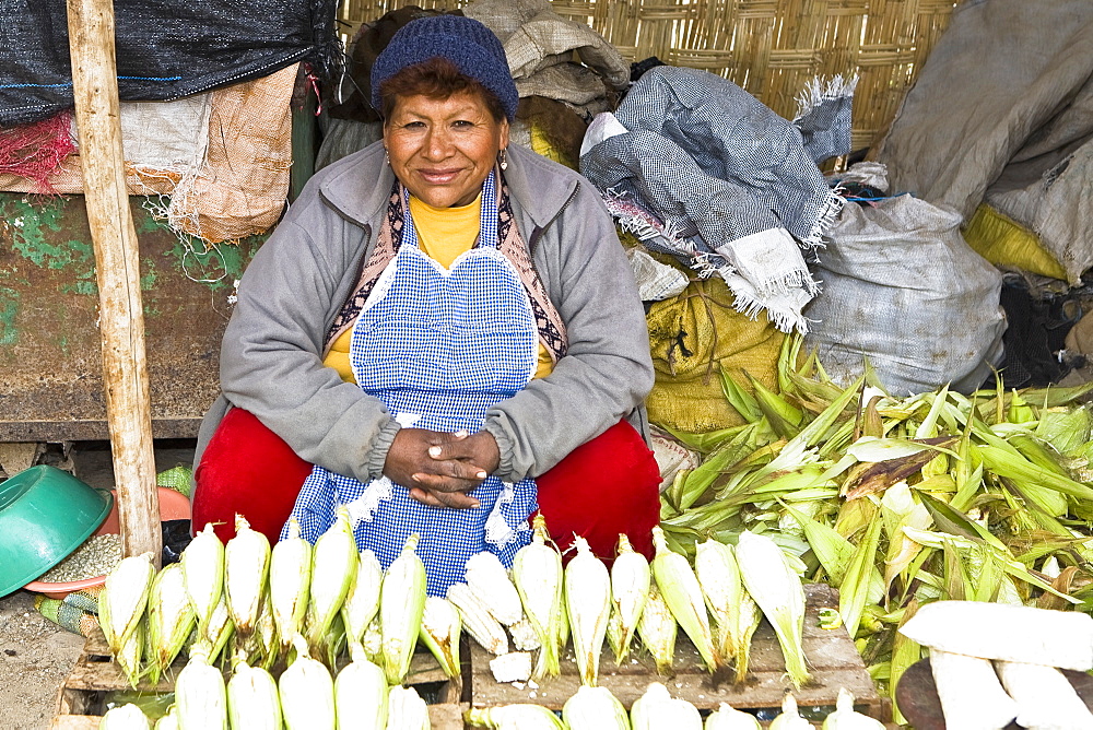 Portrait of a mature woman sitting at a market stall, Ica, Ica Region, Peru