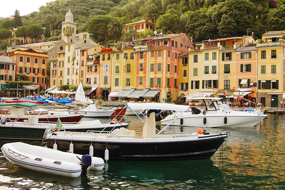 Boats moored at a harbor, Italian Riviera, Portofino, Genoa, Liguria, Italy