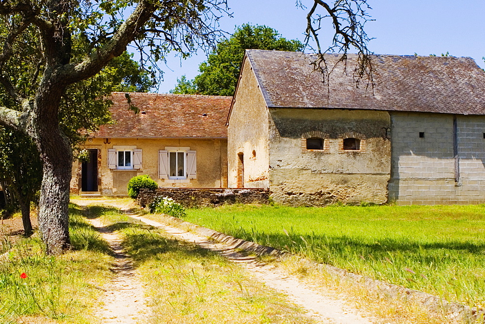 Houses in a field, Loire Valley, France