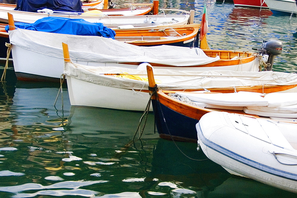 Boats moored at a harbor, Italian Riviera, Portofino, Genoa, Liguria, Italy