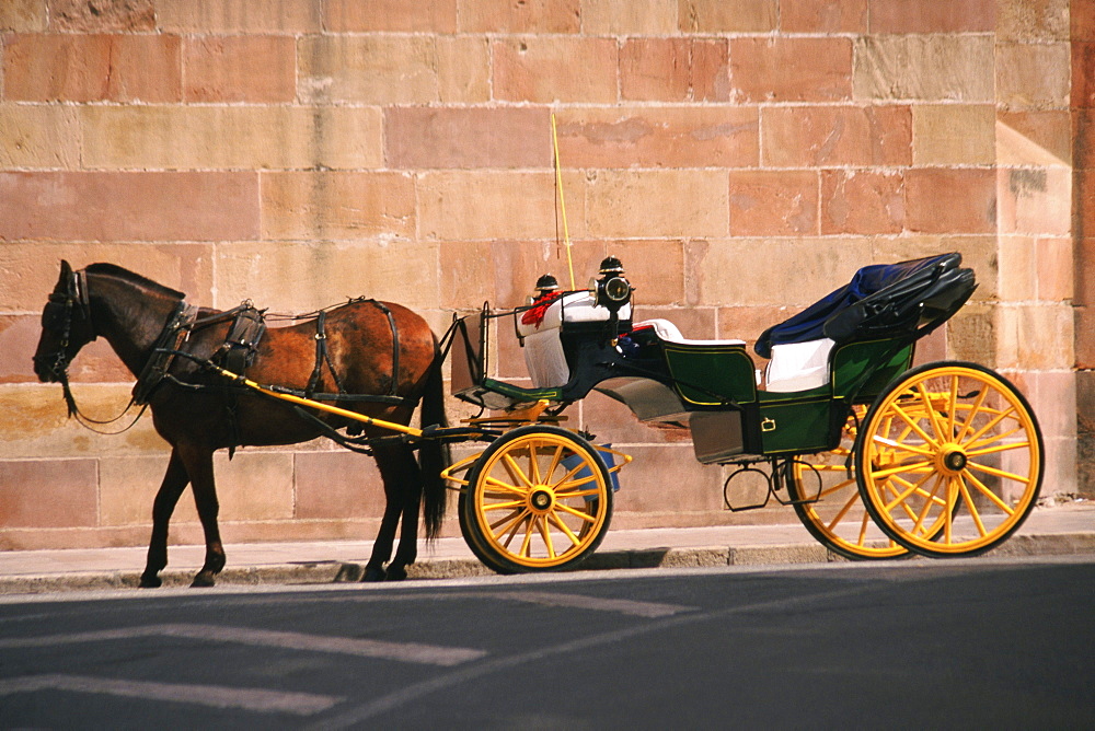 Horse pulling a carriage, Malaga, Spain