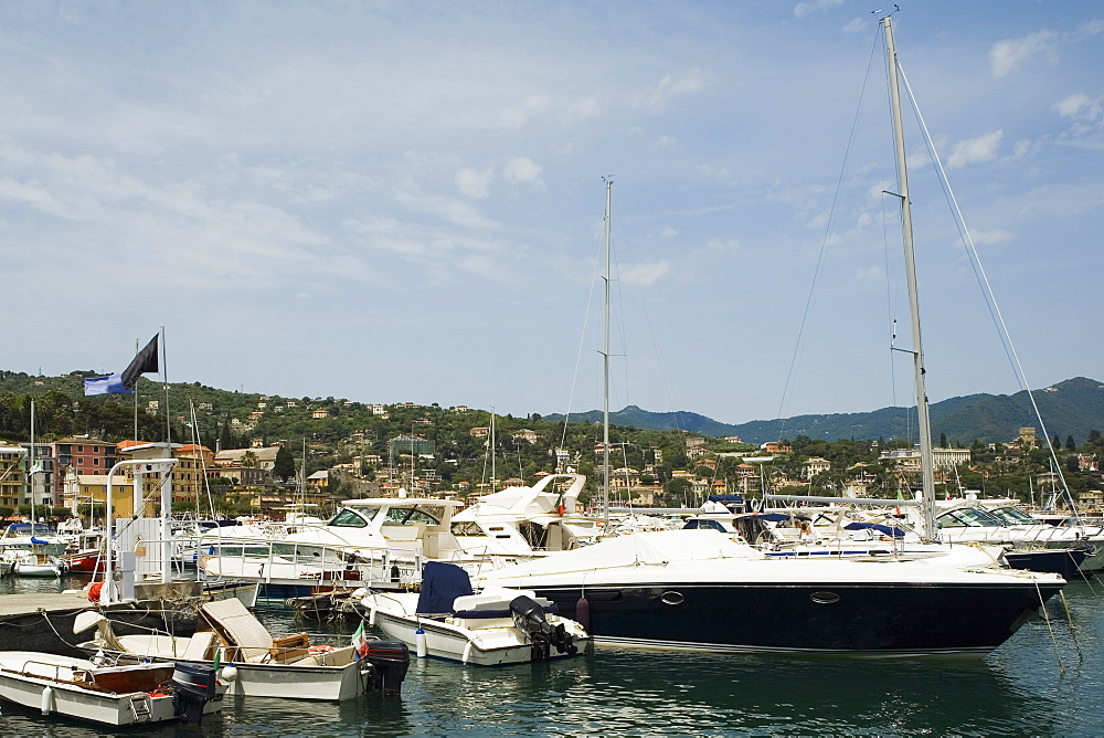 Boats at a harbor, Italian Riviera, Santa Margherita Ligure, Genoa, Liguria, Italy