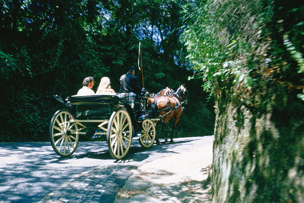 Rear view of a couple traveling in a horsedrawn carriage, Portugal
