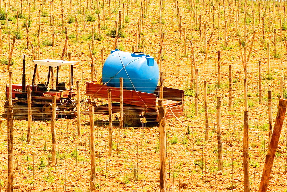 Tractor with tanker in a vineyard, Siena Province, Tuscany, Italy