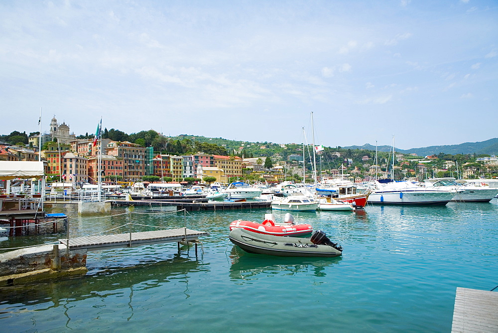 Boats at a harbor, Italian Riviera, Santa Margherita Ligure, Genoa, Liguria, Italy