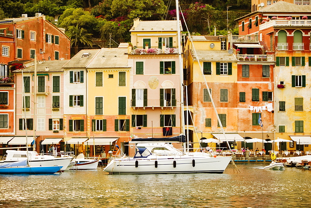 Boats at a harbor, Italian Riviera, Porticciolo, Portofino, Genoa, Liguria, Italy