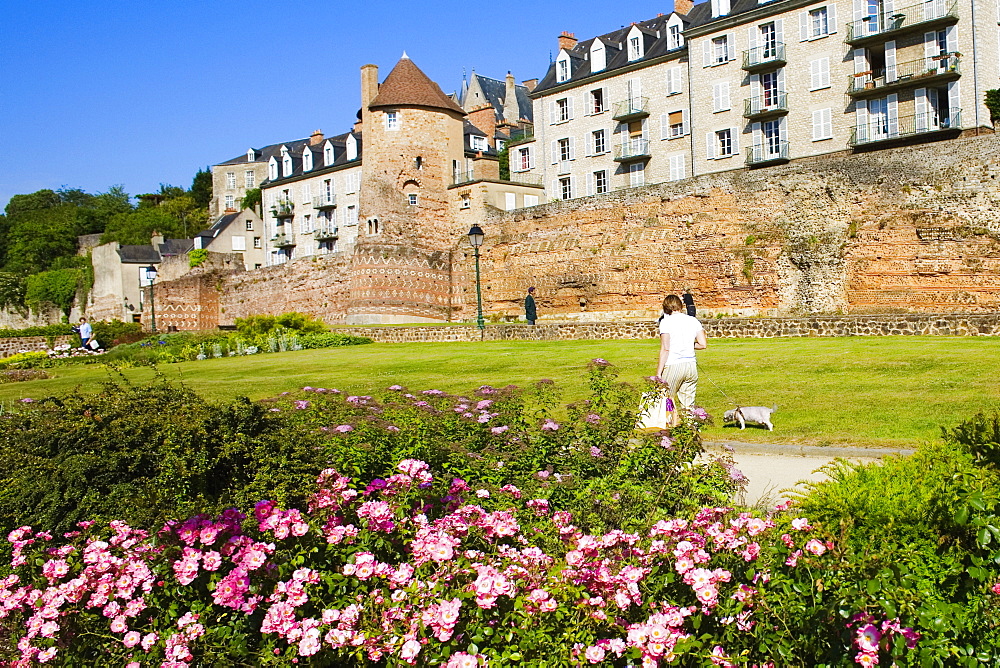 Rear view of a person walking in a garden, Le Mans, Sarthe, Pays-de-la-Loire, France