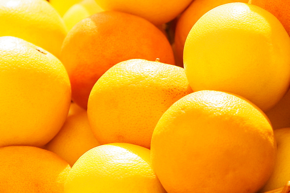 Close-up of oranges, Genoa, Liguria, Italy