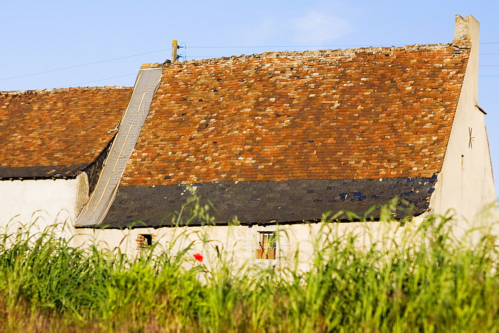 Farmhouses in a field, Loire Valley, France