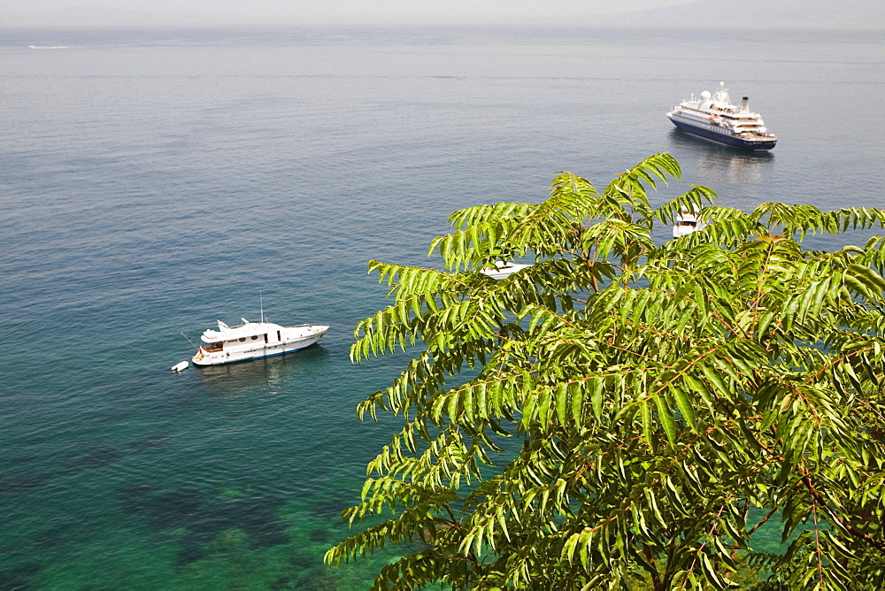 High angle view of tourboats and a cruise ship in the sea, Bay of Naples, Sorrento, Sorrentine Peninsula, Naples Province, Campania, Italy