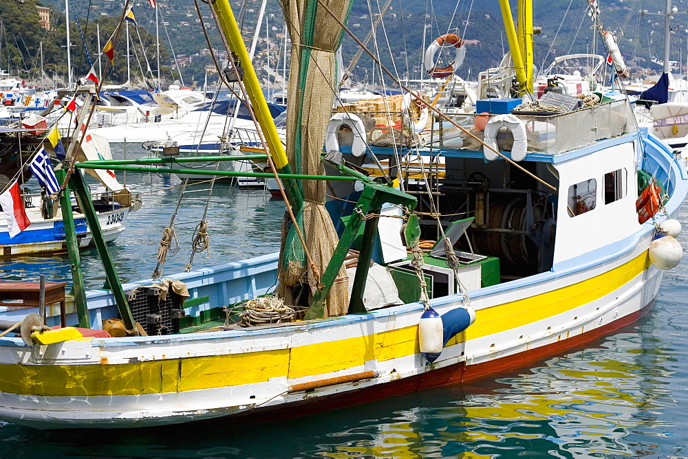 Boats at a harbor, Italian Riviera, Santa Margherita Ligure, Genoa, Liguria, Italy