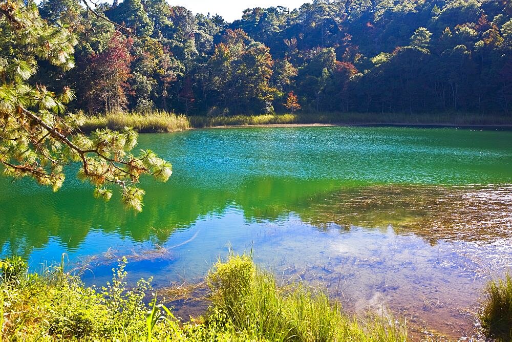 Reflection of trees in water, Lagunas De Montebello National Park, Chiapas, Mexico