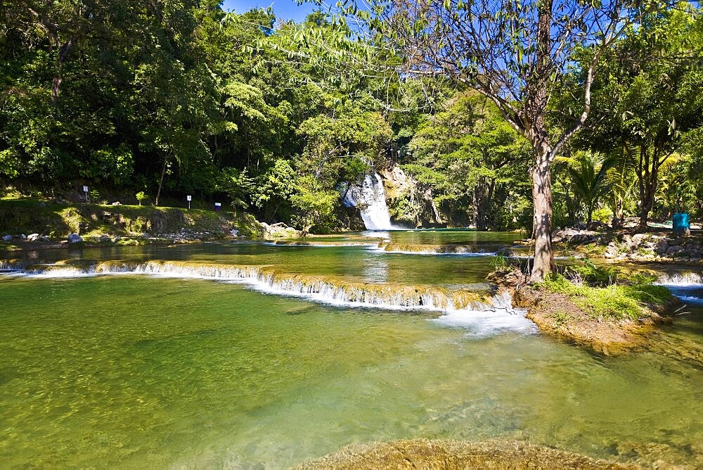 Waterfall in a forest, Tamasopo Waterfalls, Tamasopo, San luis Potosi, Mexico