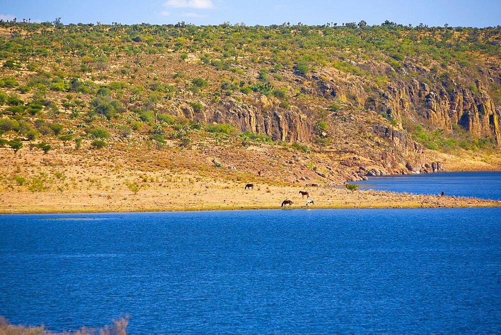 Panoramic view of a river, San Jose De Gracia, Aguascalientes, Mexico