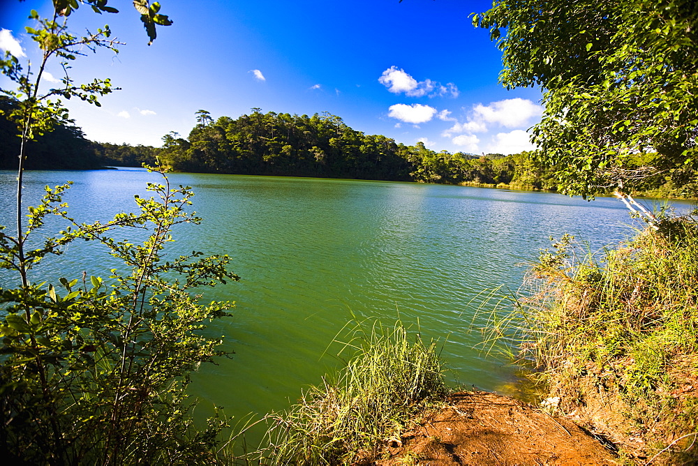 Trees at the lakeside, Lagunas De Montebello National Park, Chiapas, Mexico