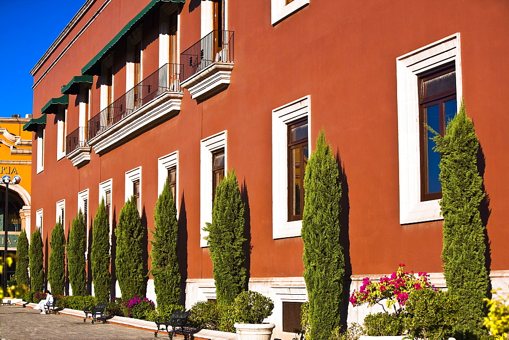 Trees in front of a government building, Palacio De Gobierno, Aguascalientes, Mexico