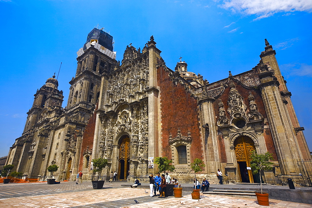 Low angle view of a cathedral, Metropolitan Cathedral, Mexico City, Mexico