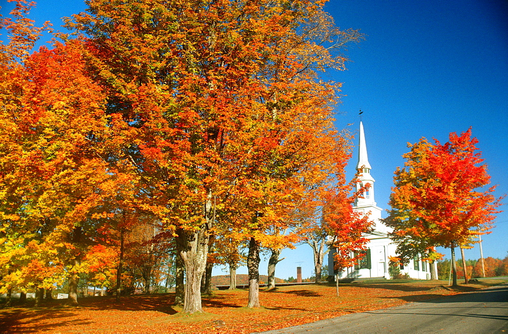 Trees in front of a church, Lunenberg, Vermont, USA