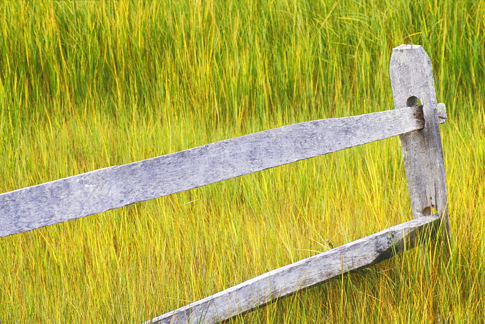 Wooden fence in a field, Cape Cod, Massachusetts, USA 