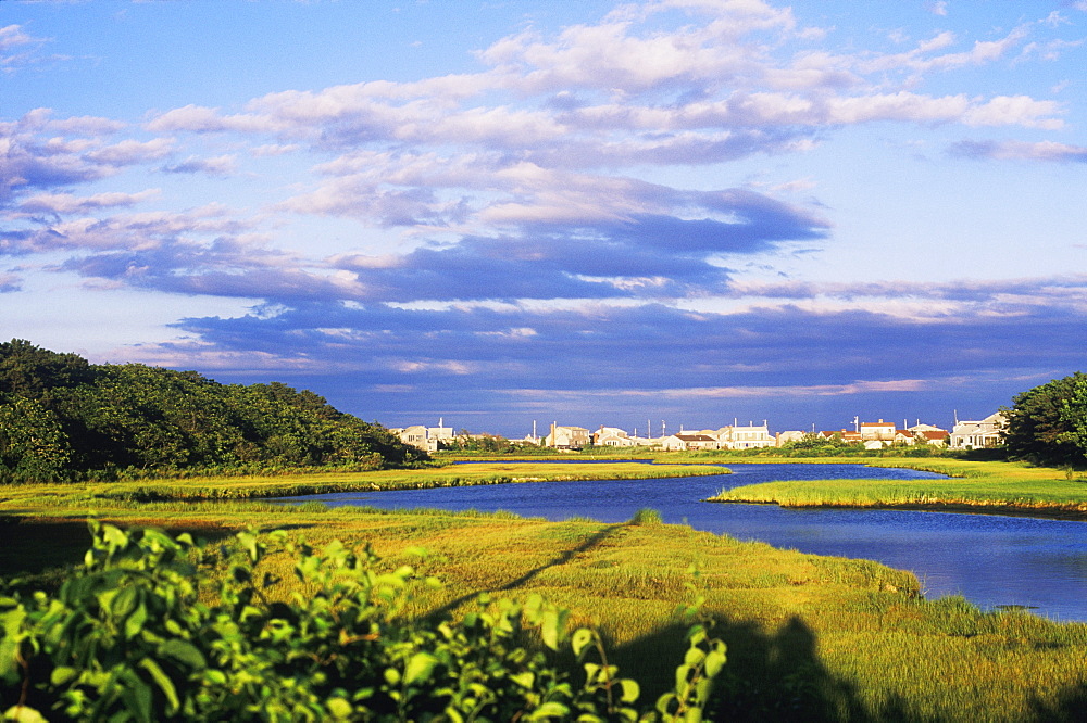 River passing through a landscape, Cape Cod, Massachusetts, USA 