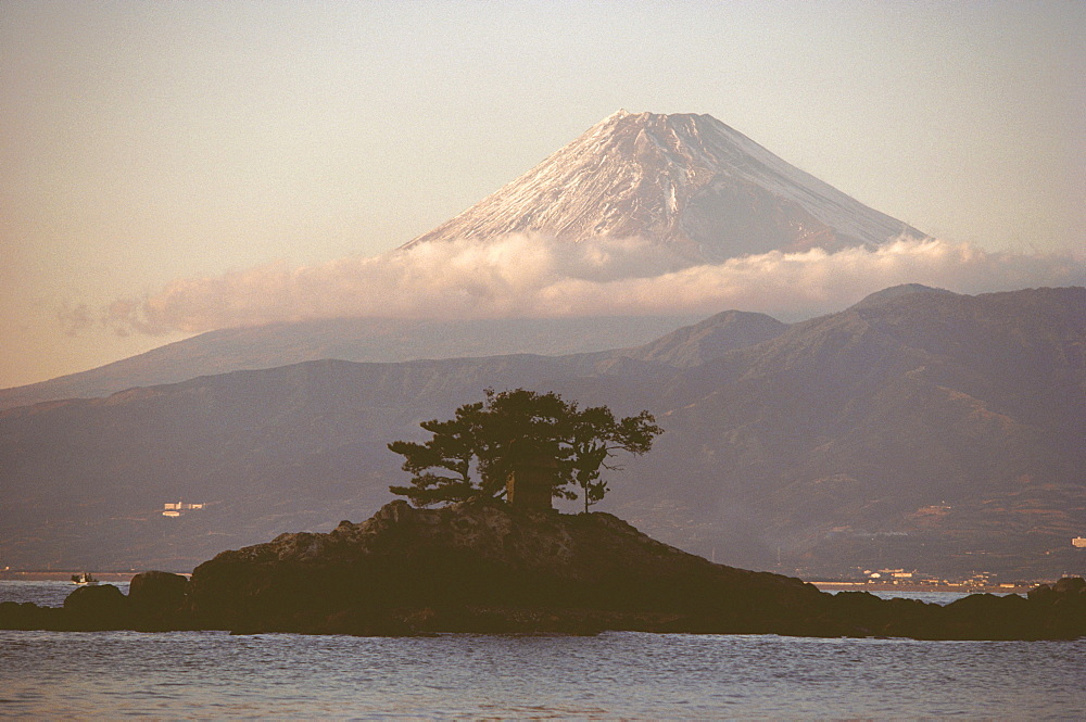 Tree on an island with a mountain in the background, Mt Fuji, Suruga Bay, Shizuoka Prefecture, Japan